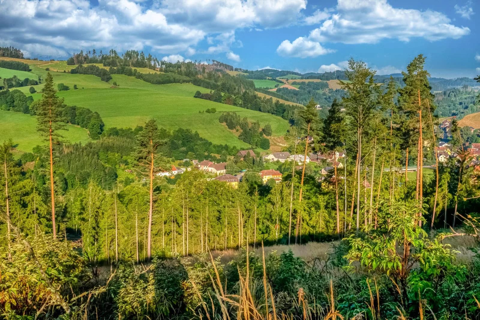Zelené kopce a krajina kolem Unčína